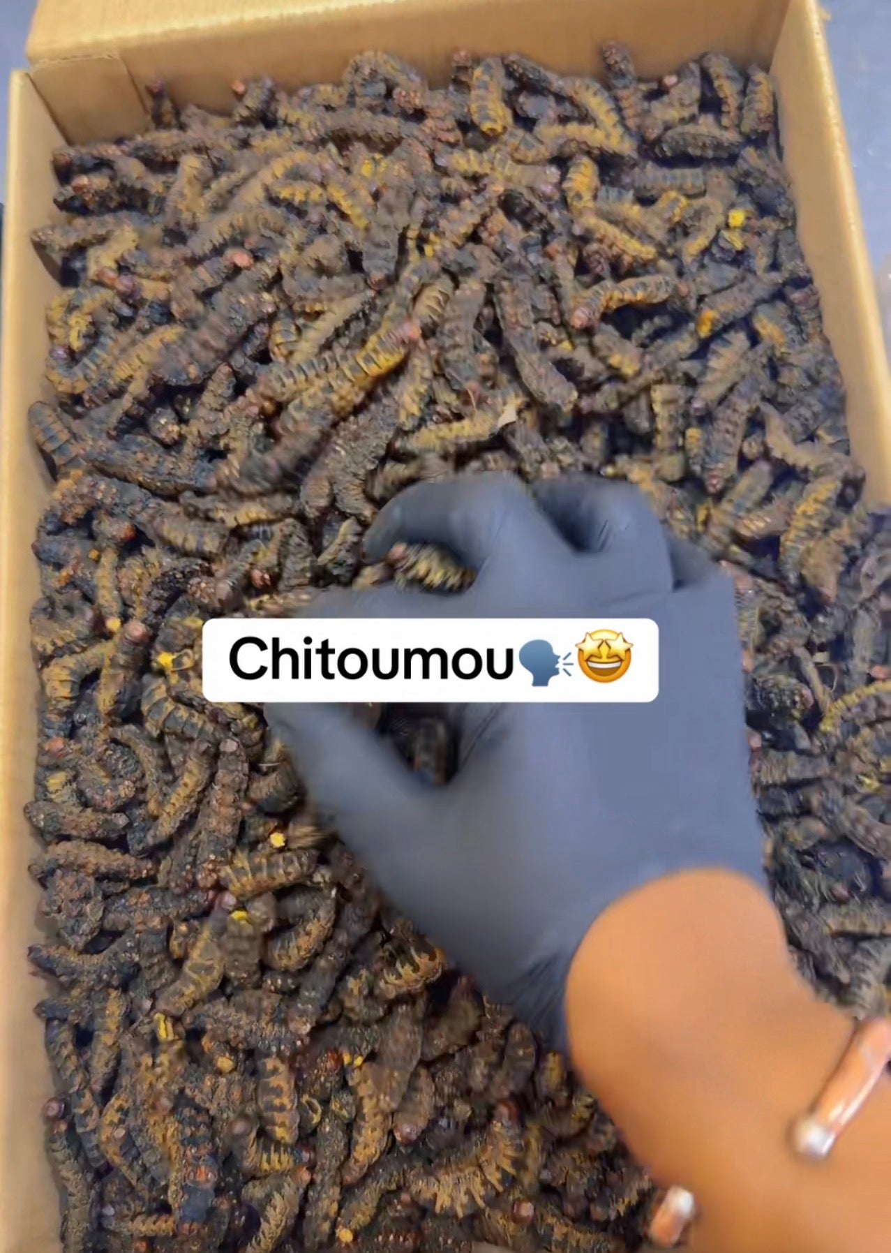 Chitoumou 300g